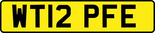 WT12PFE