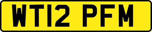 WT12PFM