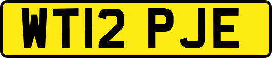 WT12PJE