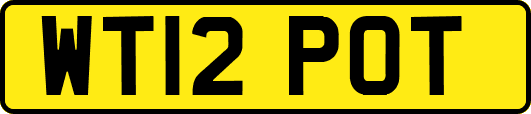 WT12POT