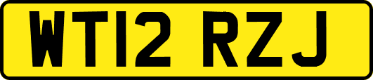 WT12RZJ