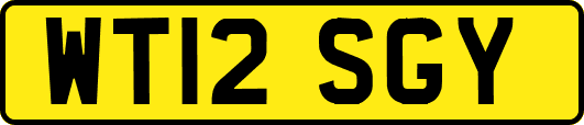 WT12SGY