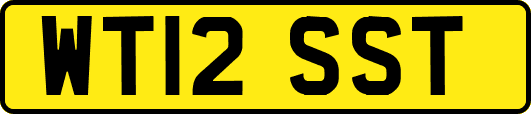 WT12SST