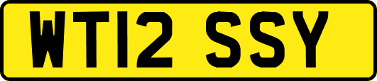WT12SSY