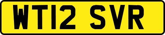 WT12SVR