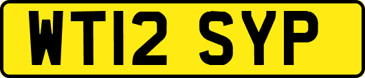WT12SYP