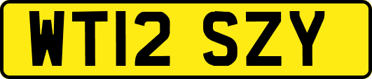 WT12SZY