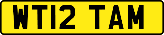 WT12TAM