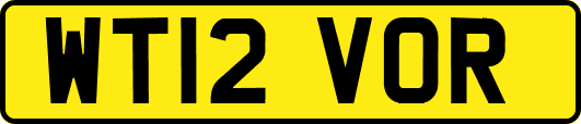 WT12VOR