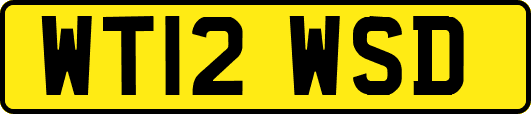 WT12WSD