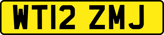 WT12ZMJ