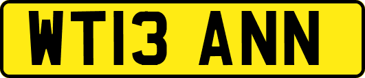 WT13ANN