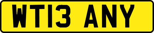 WT13ANY