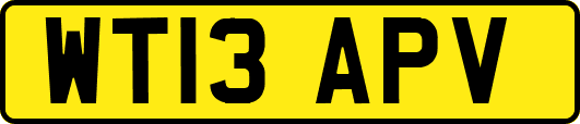 WT13APV