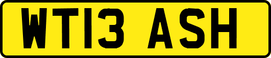 WT13ASH