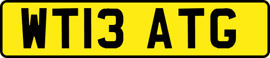 WT13ATG