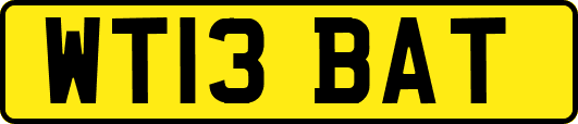 WT13BAT