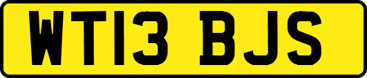 WT13BJS