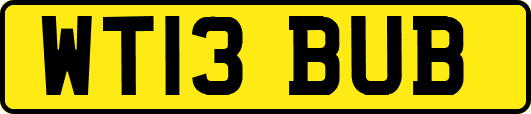 WT13BUB