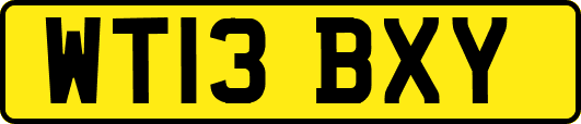 WT13BXY