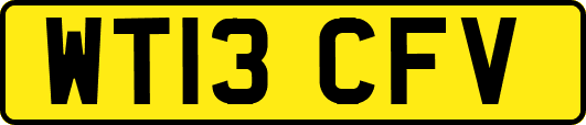 WT13CFV