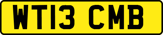 WT13CMB