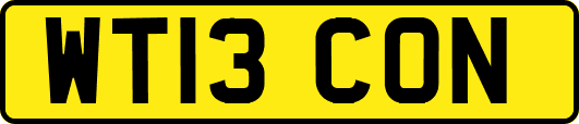 WT13CON