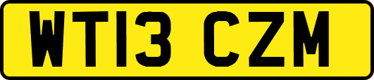 WT13CZM