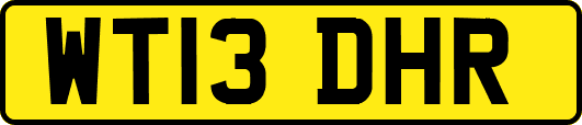 WT13DHR