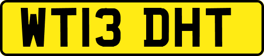 WT13DHT