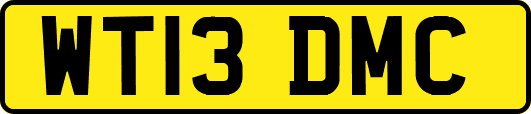 WT13DMC