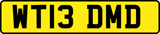 WT13DMD