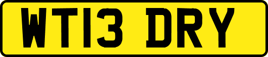 WT13DRY