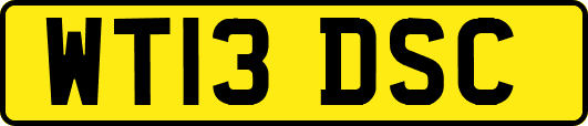 WT13DSC