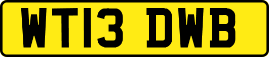 WT13DWB
