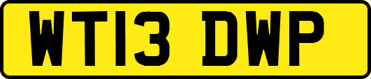 WT13DWP