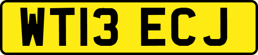 WT13ECJ
