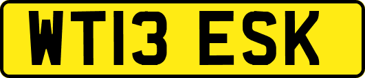 WT13ESK