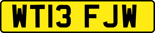 WT13FJW