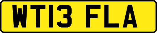 WT13FLA