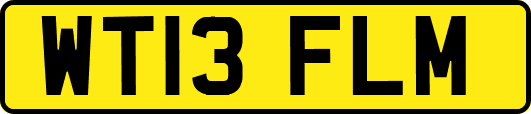 WT13FLM