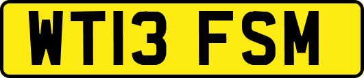 WT13FSM