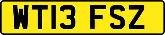 WT13FSZ