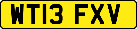 WT13FXV
