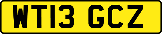 WT13GCZ