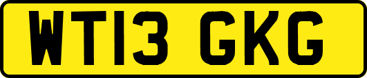 WT13GKG