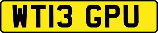 WT13GPU