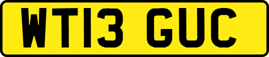 WT13GUC