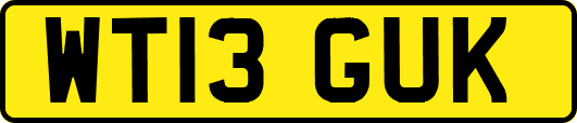 WT13GUK