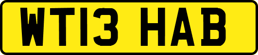 WT13HAB